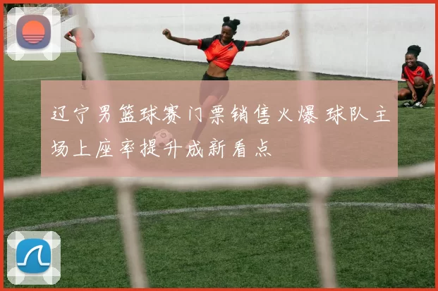 辽宁男篮球赛门票销售火爆 球队主场上座率提升成新看点