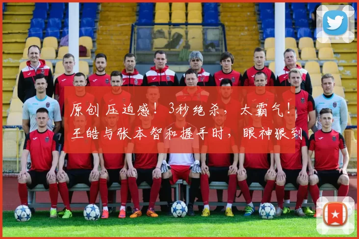 原创 压迫感!3秒绝杀,太霸气!王皓与张本智和握手时,眼神狠到要吃人