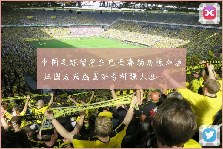 中国足球留学生巴西赛场历练加速 归国后或成国字号补强人选