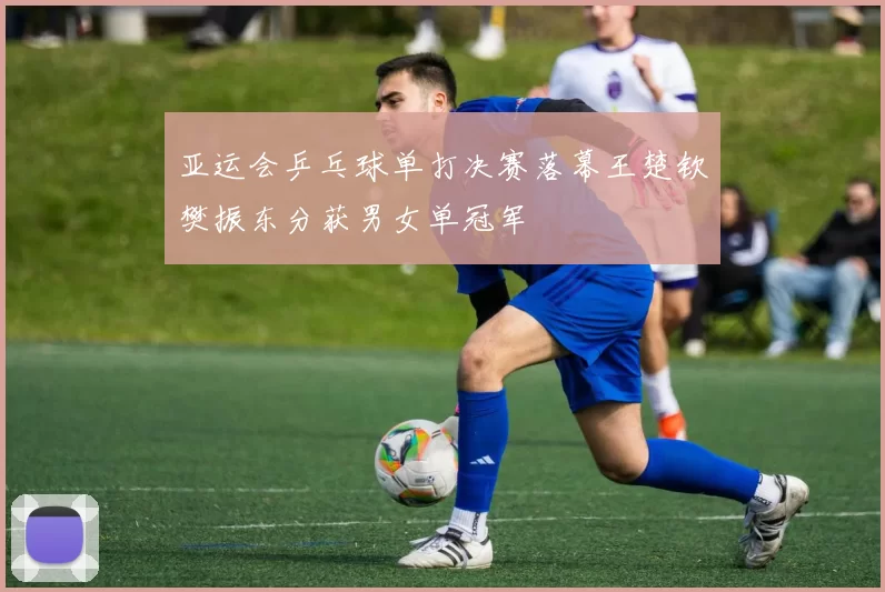 亚运会乒乓球单打决赛落幕王楚钦樊振东分获男女单冠军