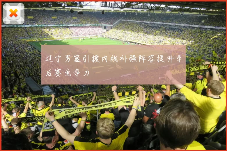 辽宁男篮引援内线补强阵容提升季后赛竞争力