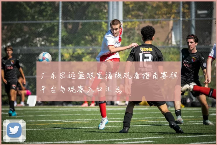广东宏远篮球直播线观看指南赛程平台与观赛入口汇总