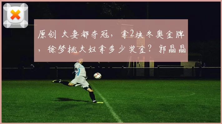 原创 夫妻都夺冠，拿2块冬奥金牌，徐梦桃夫妇拿多少奖金？郭晶晶家豪气