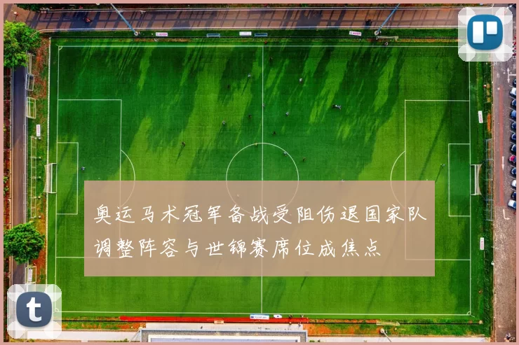 奥运马术冠军备战受阻伤退国家队调整阵容与世锦赛席位成焦点