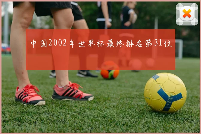 中国2002年世界杯最终排名第31位