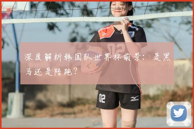 深度解析韩国队世界杯前景:是黑马还是陪跑?