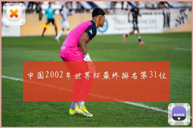 中国2002年世界杯最终排名第31位