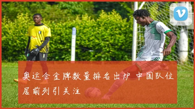 奥运会金牌数量排名出炉 中国队位居前列引关注