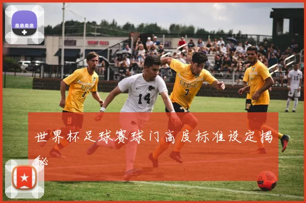 世界杯足球赛球门高度标准设定揭秘