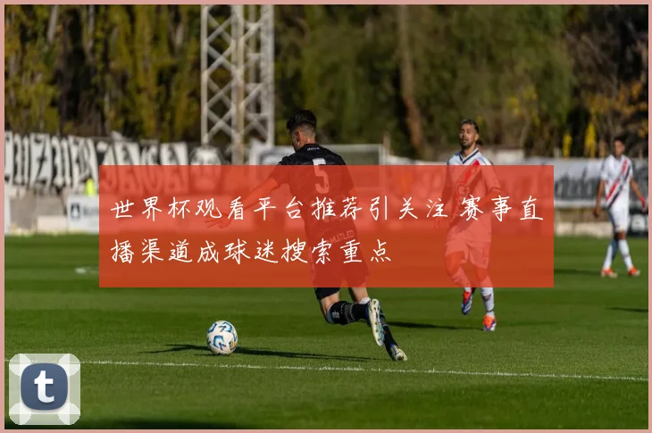 世界杯观看平台推荐引关注 赛事直播渠道成球迷搜索重点